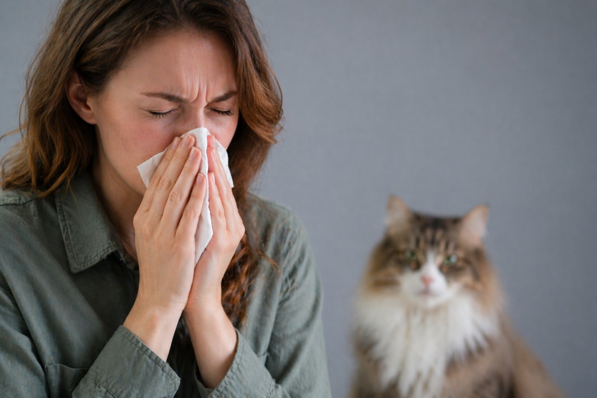 Чому виникає алергія на котів