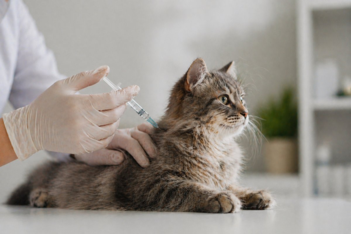 Які вакцини обов&rsquo;язкові у 2026 році